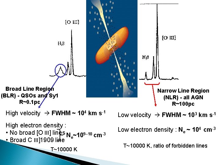 Broad Line Region (BLR) - QSOs and Sy 1 R~0. 1 pc Narrow Line