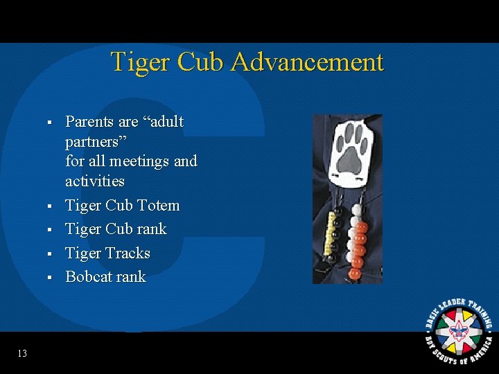 Tiger Cub Advancement § § § 13 Parents are “adult partners” for all meetings