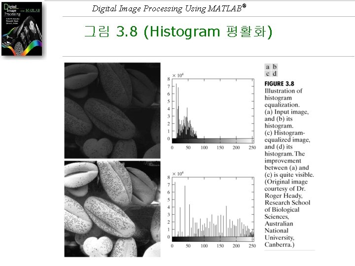 Digital Image Processing Using MATLAB® 그림 3. 8 (Histogram 평활화) 