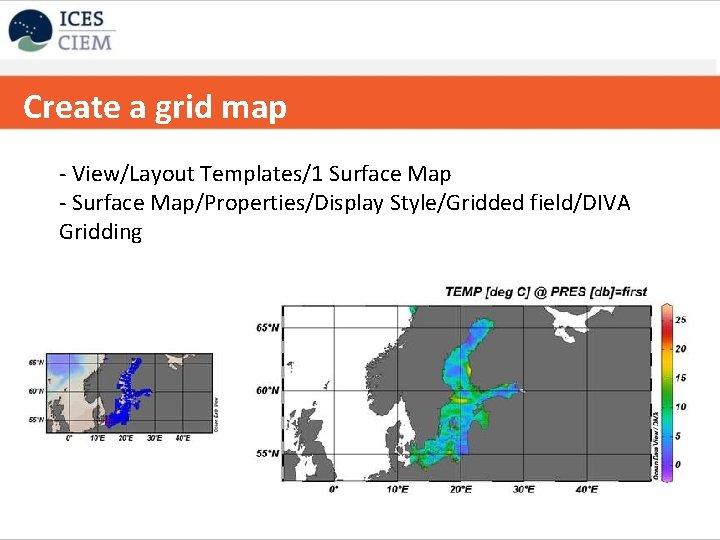 Create a grid map ICES strategy on data handling/databases - View/Layout Templates/1 Surface Map