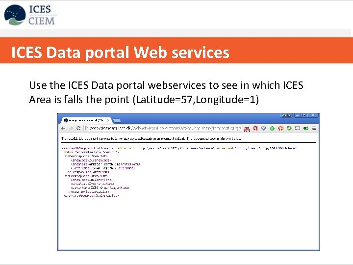 ICES Data portal Web services ICES strategy on data handling/databases Use the ICES Data