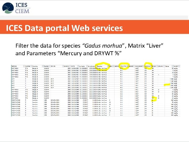 ICES Data portal Web services ICES strategy on data handling/databases Filter the data for