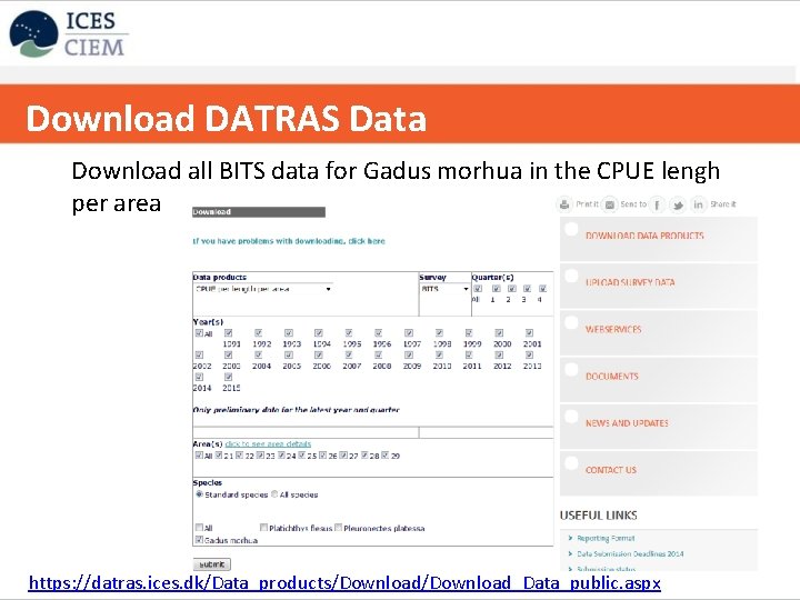 Download DATRAS Data Copy table to exceldata for Gadus morhua in the CPUE lengh