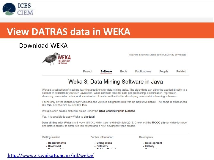 View DATRAS data in WEKA Copy table to excel Download WEKA http: //www. cs.