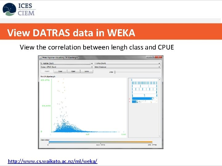 View DATRAS data in WEKA Copy to excel between lengh class and CPUE Viewtable