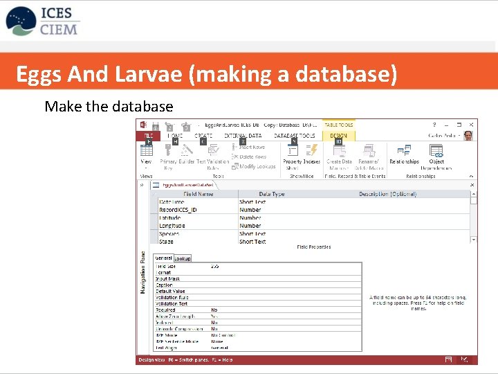 Eggs And Larvae (making a database) Copy table to excel Make the database 