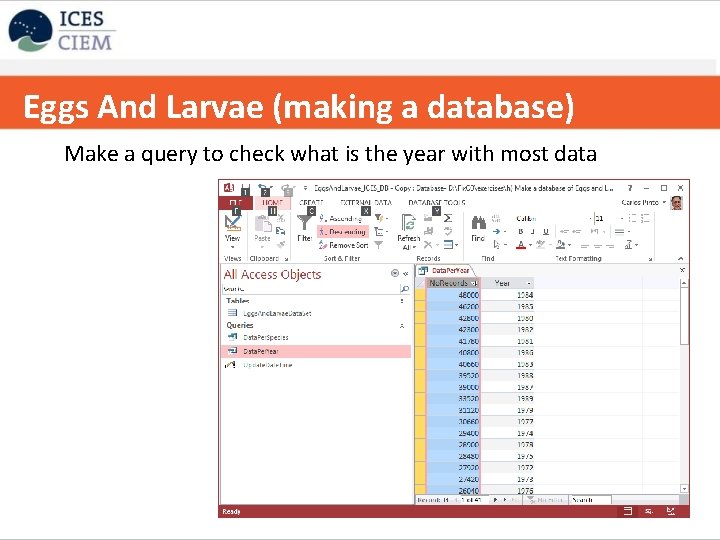 Eggs And Larvae (making a database) Copy table to excel Make a query to