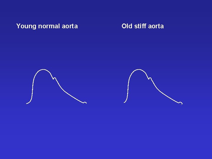 Young normal aorta Old stiff aorta 