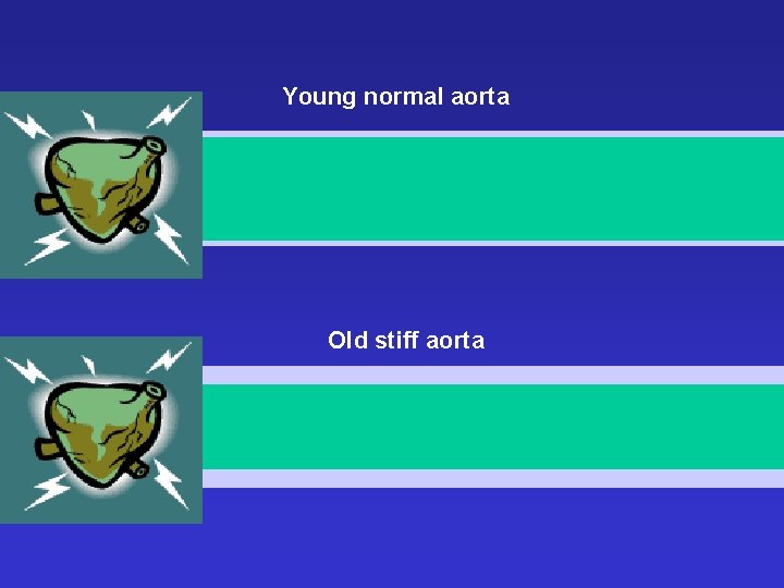 Young normal aorta Old stiff aorta 