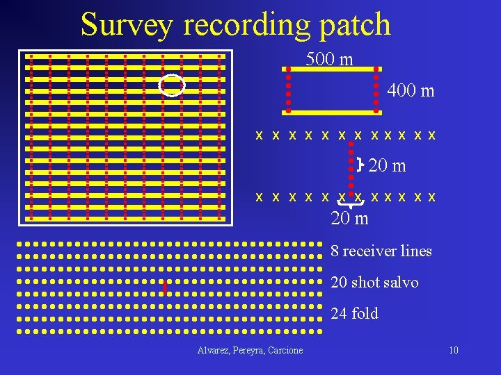 Survey recording patch 500 m 400 m X X X X X X 20