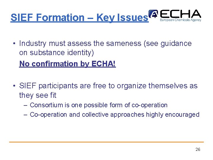 SIEF Formation – Key Issues • Industry must assess the sameness (see guidance on