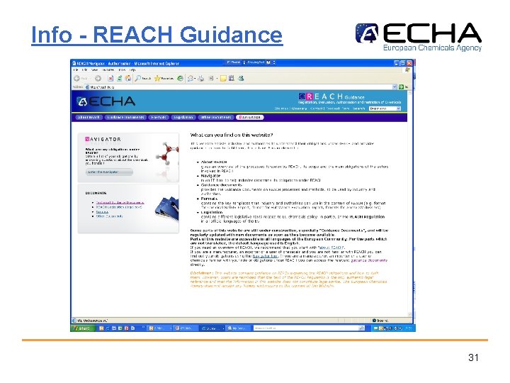 Info - REACH Guidance 31 