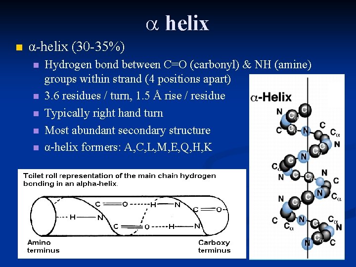  helix n α-helix (30 -35%) n n n Hydrogen bond between C=O (carbonyl)