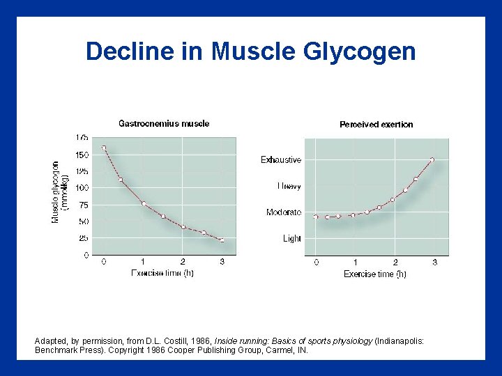 Decline in Muscle Glycogen Adapted, by permission, from D. L. Costill, 1986, Inside running: