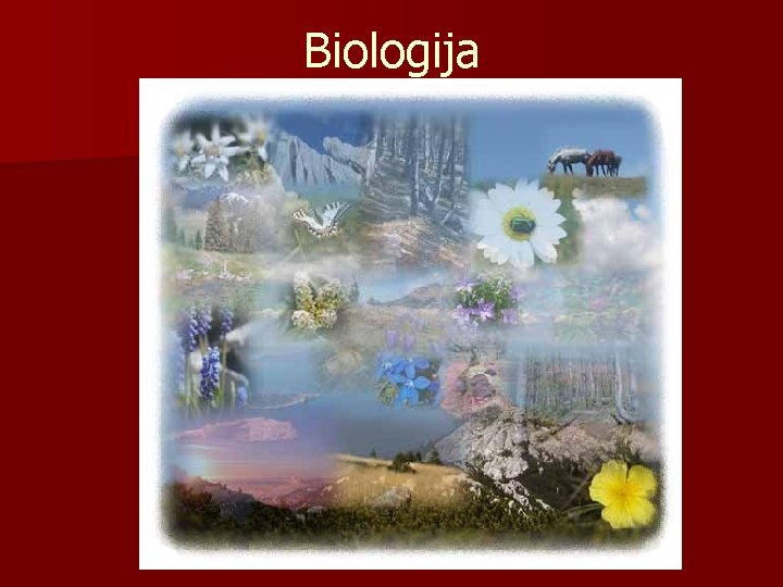 Biologija 