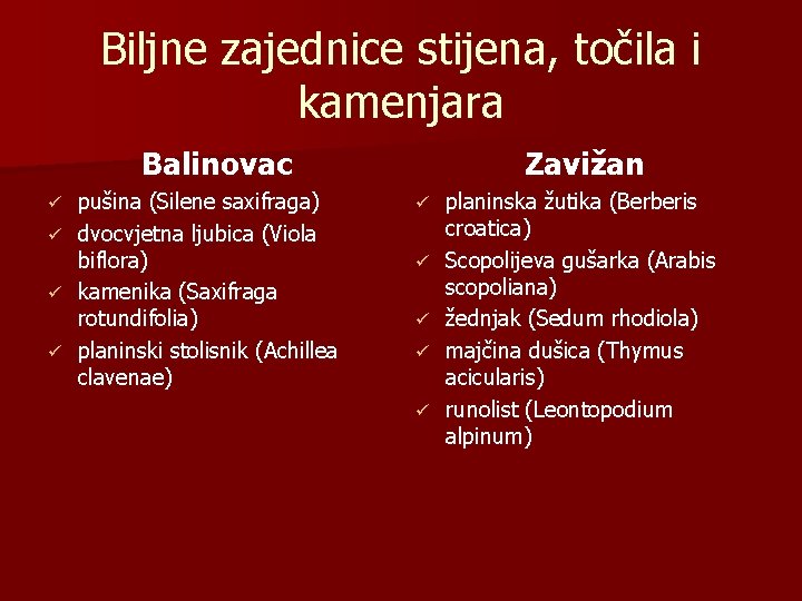 Biljne zajednice stijena, točila i kamenjara Balinovac pušina (Silene saxifraga) ü dvocvjetna ljubica (Viola