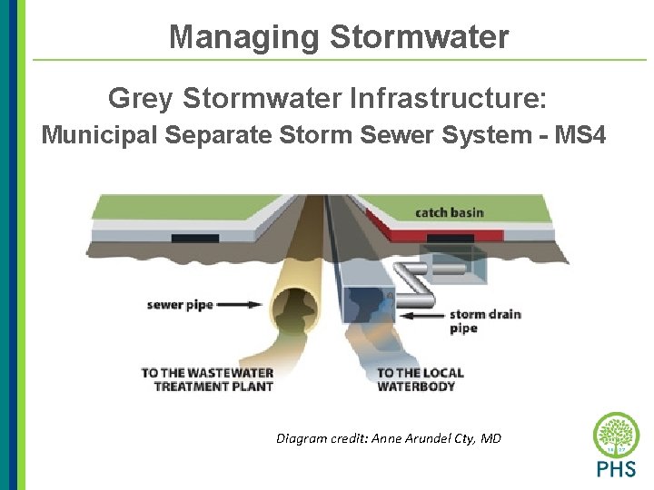 Managing Stormwater Grey Stormwater Infrastructure: Municipal Separate Storm Sewer System - MS 4 Diagram