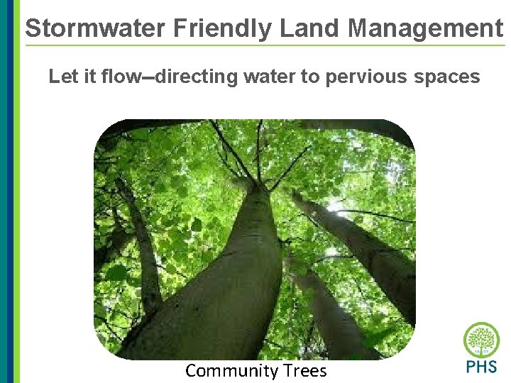 Stormwater Friendly Land Management Let it flow--directing water to pervious spaces Community Trees 