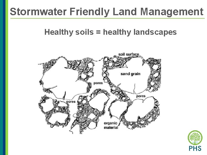Stormwater Friendly Land Management Healthy soils = healthy landscapes 