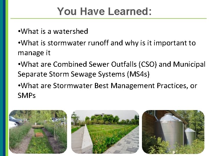 You Have Learned: • What is a watershed • What is stormwater runoff and