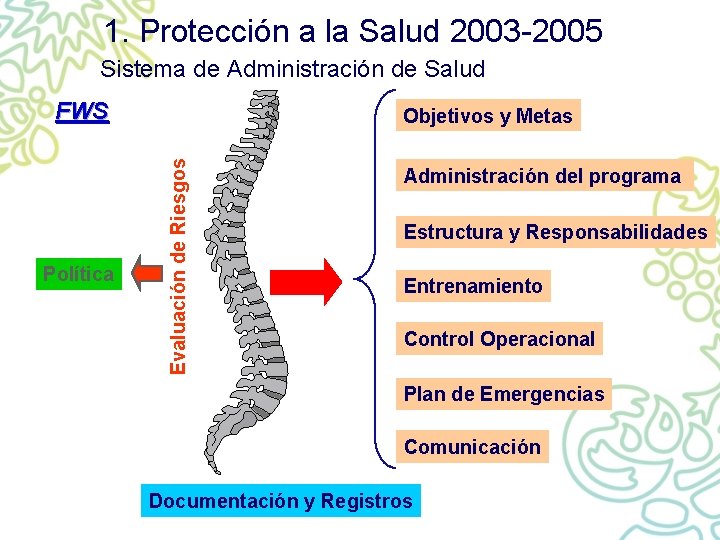 1. Protección a la Salud 2003 -2005 Sistema de Administración de Salud FWS Evaluación