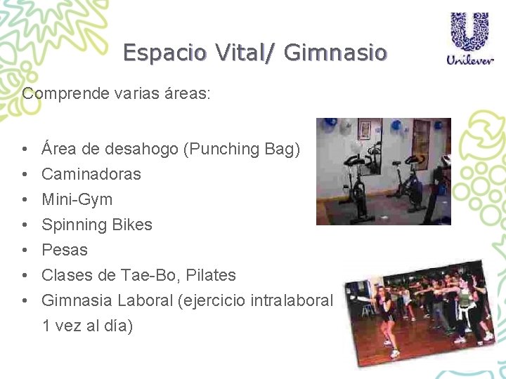 Espacio Vital/ Gimnasio Comprende varias áreas: • • Área de desahogo (Punching Bag) Caminadoras