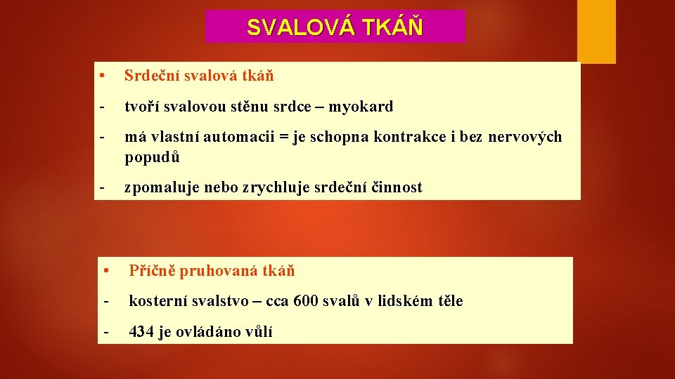SVALOVÁ TKÁŇ • Srdeční svalová tkáň - tvoří svalovou stěnu srdce – myokard -