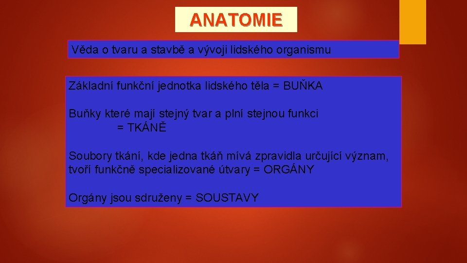 ANATOMIE Věda o tvaru a stavbě a vývoji lidského organismu Základní funkční jednotka lidského