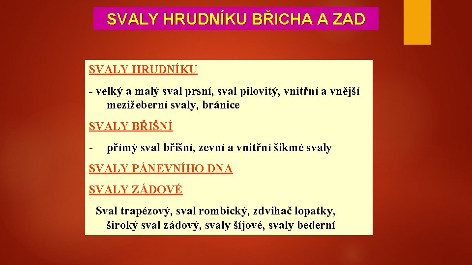 SVALY HRUDNÍKU BŘICHA A ZAD SVALY HRUDNÍKU - velký a malý sval prsní, sval