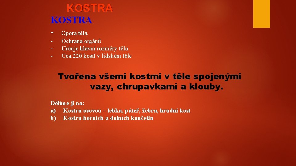 KOSTRA - Opora těla - Ochrana orgánů Určuje hlavní rozměry těla Cca 220 kostí