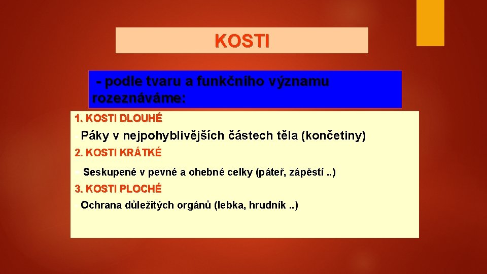 KOSTI - podle tvaru a funkčního významu rozeznáváme: 1. KOSTI DLOUHÉ - Páky v