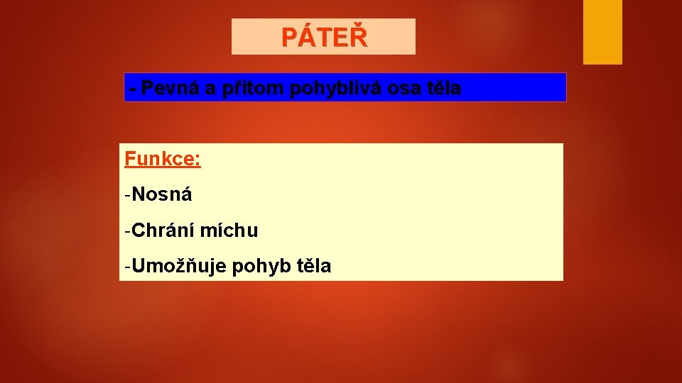 PÁTEŘ - Pevná a přitom pohyblivá osa těla Funkce: -Nosná -Chrání míchu -Umožňuje pohyb