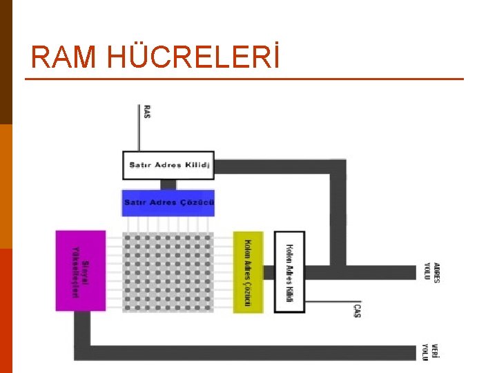 RAM HÜCRELERİ 