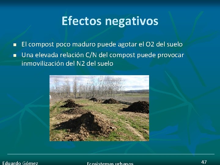 Efectos negativos n n El compost poco maduro puede agotar el O 2 del