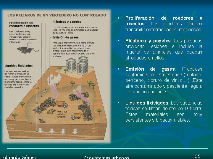  • Proliferación de roedores e insectos: Los roedores pueden transmitir enfermedades infecciosas. •