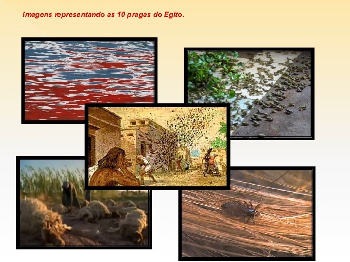 Imagens representando as 10 pragas do Egito. 