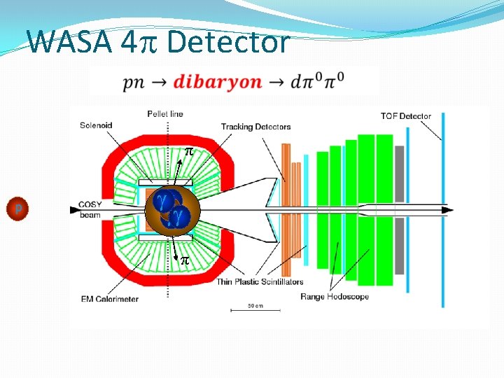 WASA 4 Detector π p n d π 