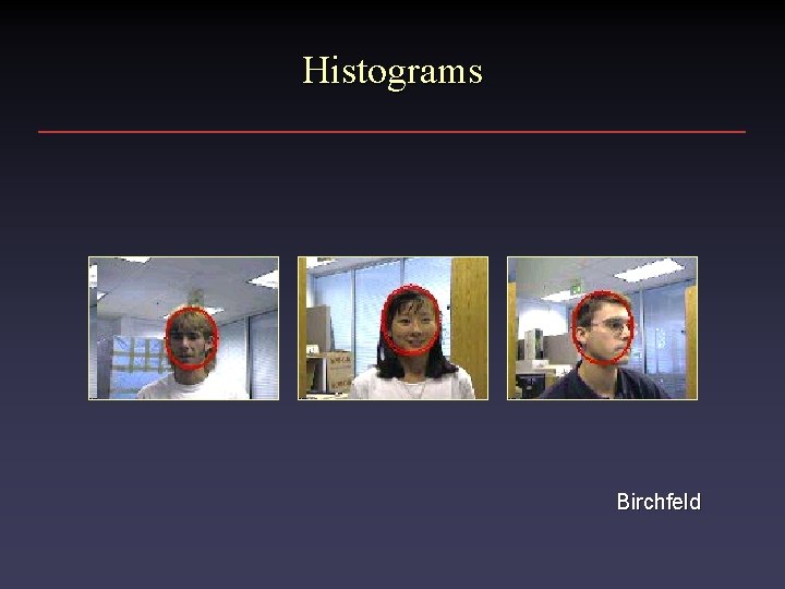 Histograms Birchfeld 