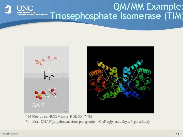 QM/MM Example: Triosephosphate Isomerase (TIM) DHAP H 2 O GAP 494 Residues, 4033 Atoms,