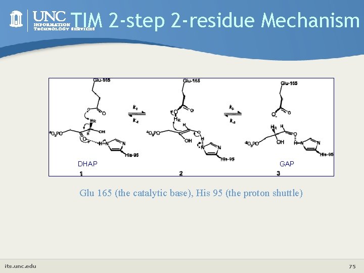 TIM 2 -step 2 -residue Mechanism DHAP Glu 165 (the catalytic base), His 95