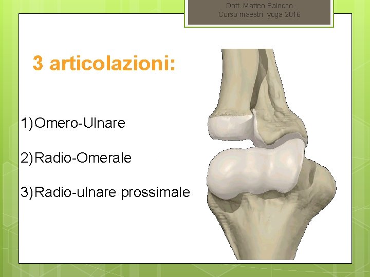 Dott. Matteo Balocco Corso maestri yoga 2016 3 articolazioni: 1) Omero-Ulnare 2) Radio-Omerale 3)