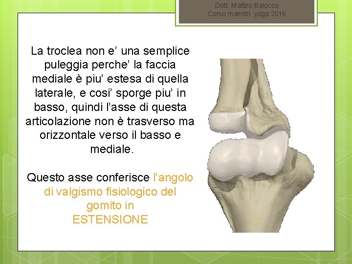 Dott. Matteo Balocco Corso maestri yoga 2016 La troclea non e’ una semplice puleggia