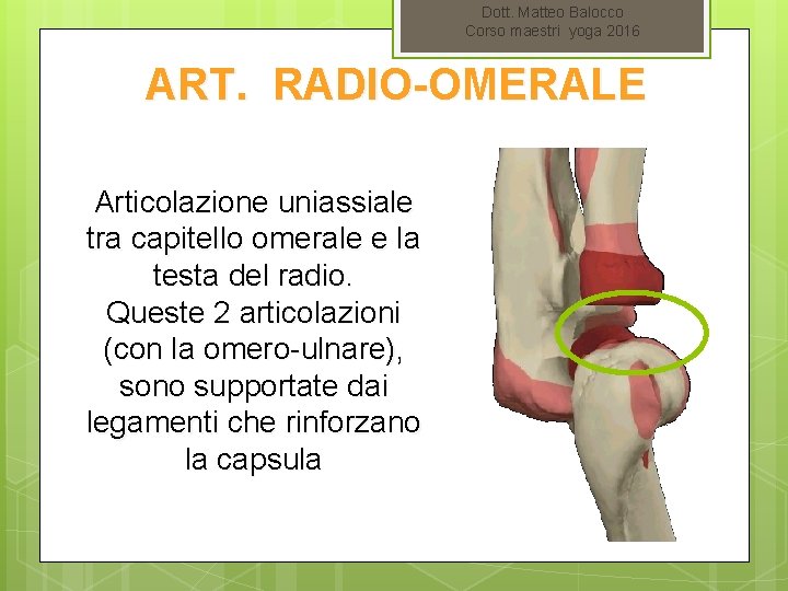 Dott. Matteo Balocco Corso maestri yoga 2016 ART. RADIO-OMERALE Articolazione uniassiale tra capitello omerale