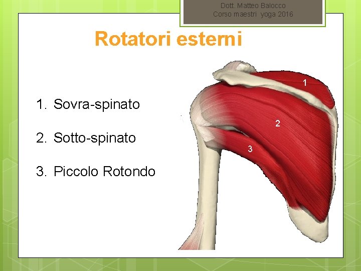 Dott. Matteo Balocco Corso maestri yoga 2016 Rotatori esterni 1 1. Sovra-spinato 2 2.