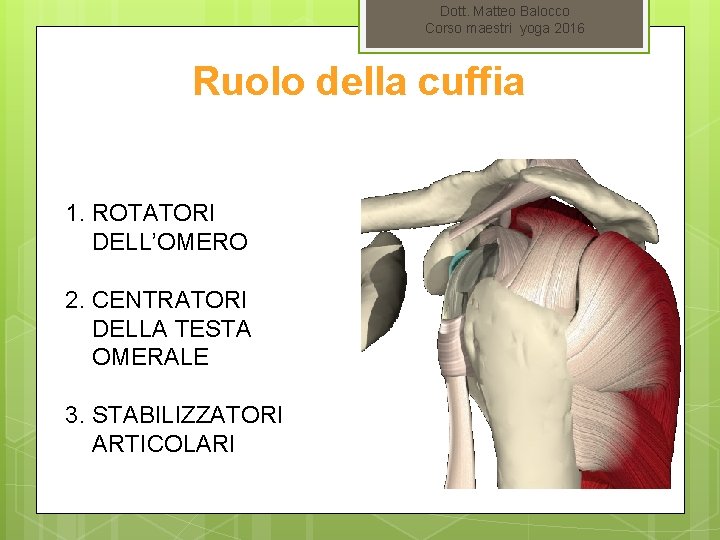 Dott. Matteo Balocco Corso maestri yoga 2016 Ruolo della cuffia 1. ROTATORI DELL’OMERO 2.