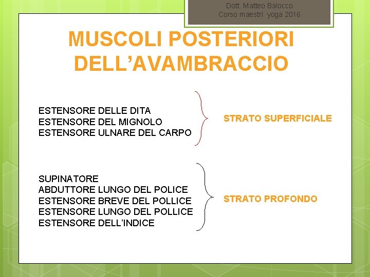 Dott. Matteo Balocco Corso maestri yoga 2016 MUSCOLI POSTERIORI DELL’AVAMBRACCIO ESTENSORE DELLE DITA ESTENSORE