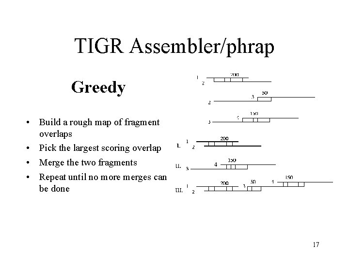 TIGR Assembler/phrap Greedy • Build a rough map of fragment overlaps • Pick the