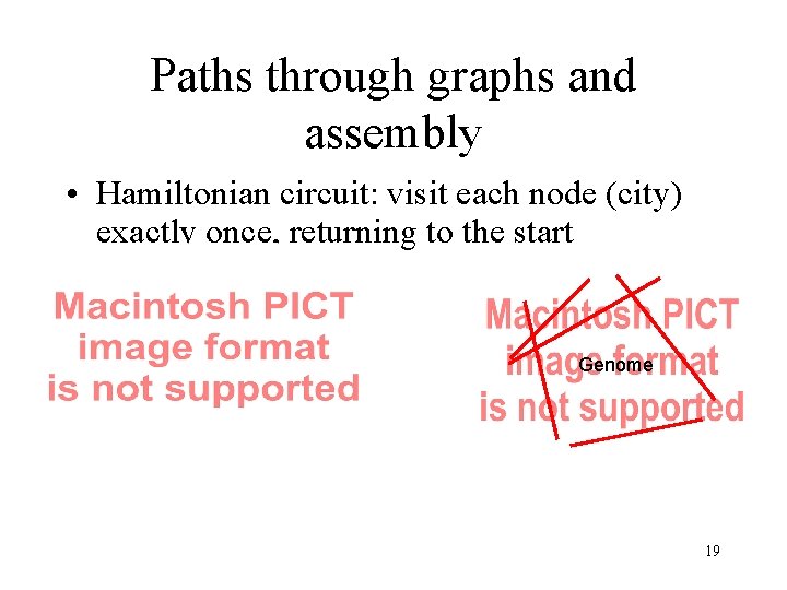 Paths through graphs and assembly • Hamiltonian circuit: visit each node (city) exactly once,