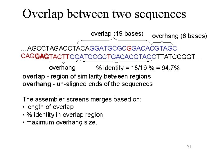 Overlap between two sequences overlap (19 bases) overhang (6 bases) …AGCCTAGACCTACAGGATGCGCGGACACGTAGC CAGGAC CAGTACTTGGATGCGCTGACACGTAGCTTATCCGGT… overhang