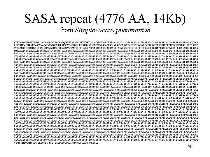 SASA repeat (4776 AA, 14 Kb) from Streptococcus pneumoniae MTETVEDKVSHSITGLDILKGIVAAGAVISGTVATQTKVFTNESAVLEKTVEKTDALATNDTVVLGTISTSNSASSTSLSASESASTSASTSASESASTSISASSTVVGSQTAAA TEATAKKVEEDRKKPASDYVASVTNVNLQSYAKRRKRSVDSIEQLLASIKNAAVFSGNTIVNGAPAINASLNIAKSETKVYTGEGVDSVYRVPIYYKLKVTNDGSKLTFTYTVTYVNPKTNDLGNISSMRP GYSIYNSGTSTQTMLTLGSDLGKPSGVKNYITDKNGRQVLSYNTSTMTTQGSGYTWGNGAQMNGFFAKKGYGLTSSWTVPITGTDTSFTFTPYAARTDRIGINYFNGGGKVVESSTTSQSLSQSKSLSVSA SQSASASASTSASASASTSASVSASTSASASASTSASASASTSASESASTSASASASTSASESASTSASASASTS ASGSASTSTSASASASTSASASASISASESASTSTSASASTSASESASTSASASASTSASASASTSASASASTSASASA